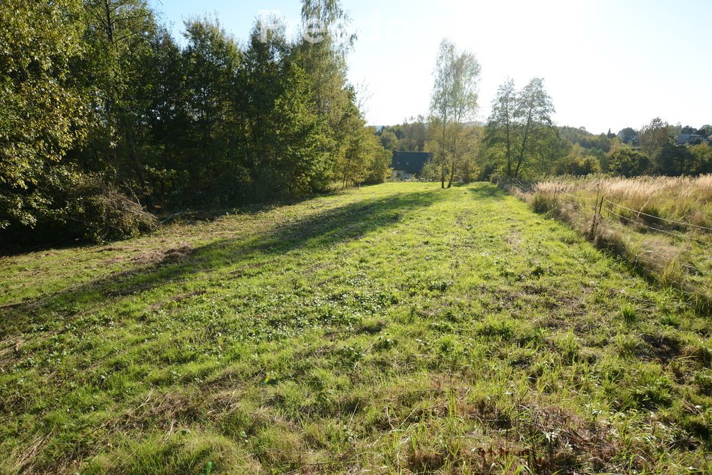 Działka budowlana na sprzedaż Barwałd Średni  1 110m2 Foto 7