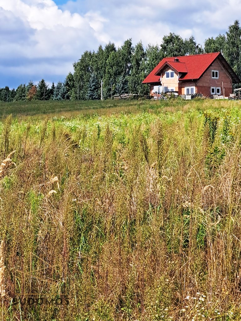 Działka budowlana na sprzedaż Wojnicz  2 400m2 Foto 4