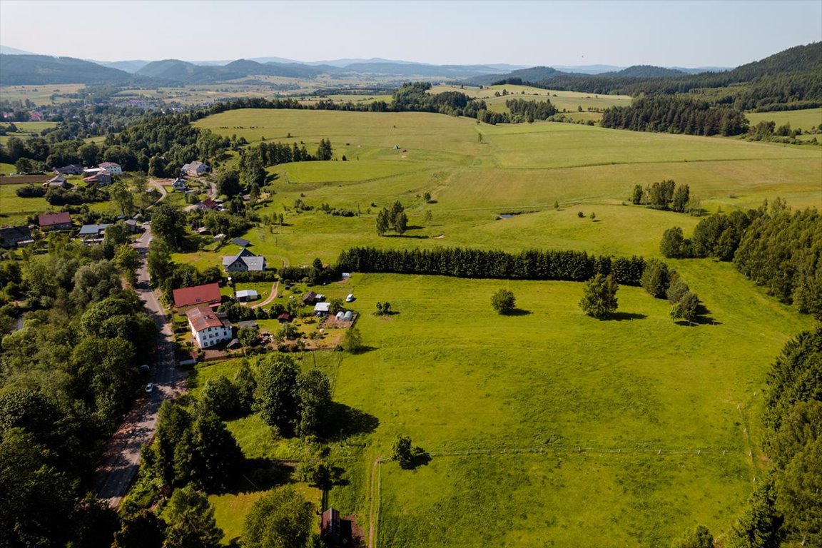 Działka 564 m² z widokiem na Góry Krucze, las, blisko Makowa Chełmsko Śląskie, Działki przy lesie tylko 9 min od Makowa!  564m2 Foto 1