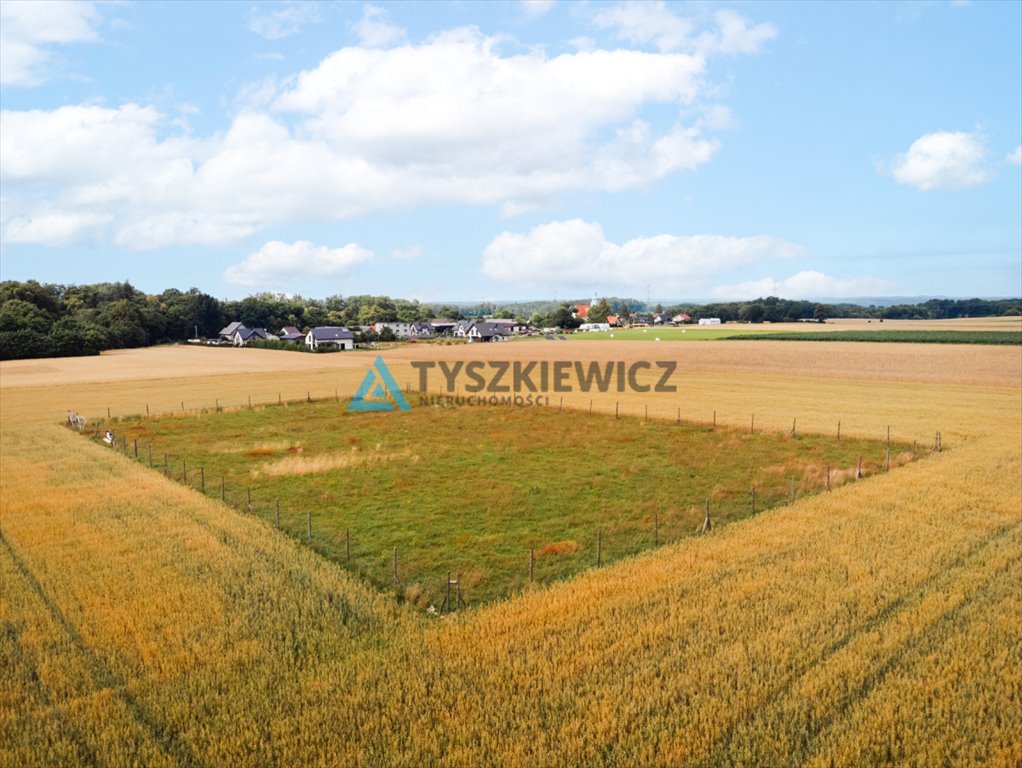 Działka budowlana na sprzedaż Góra, Słowińska  3 088m2 Foto 4