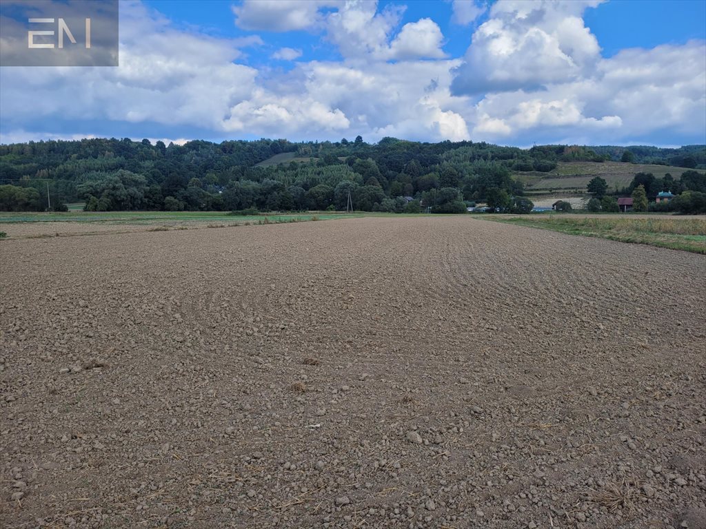 Duża działka 61,59 ar z warunkami zabudowy i dostępem do mediów Godowa  6 159m2 Foto 1