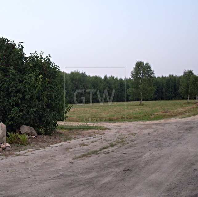 Działka rolna na sprzedaż Częstoniew-Kolonia  3 000m2 Foto 4