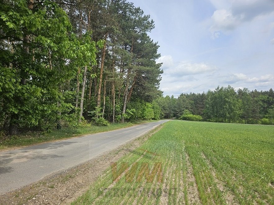 Działka budowlana na sprzedaż Pniewy  6 967m2 Foto 5