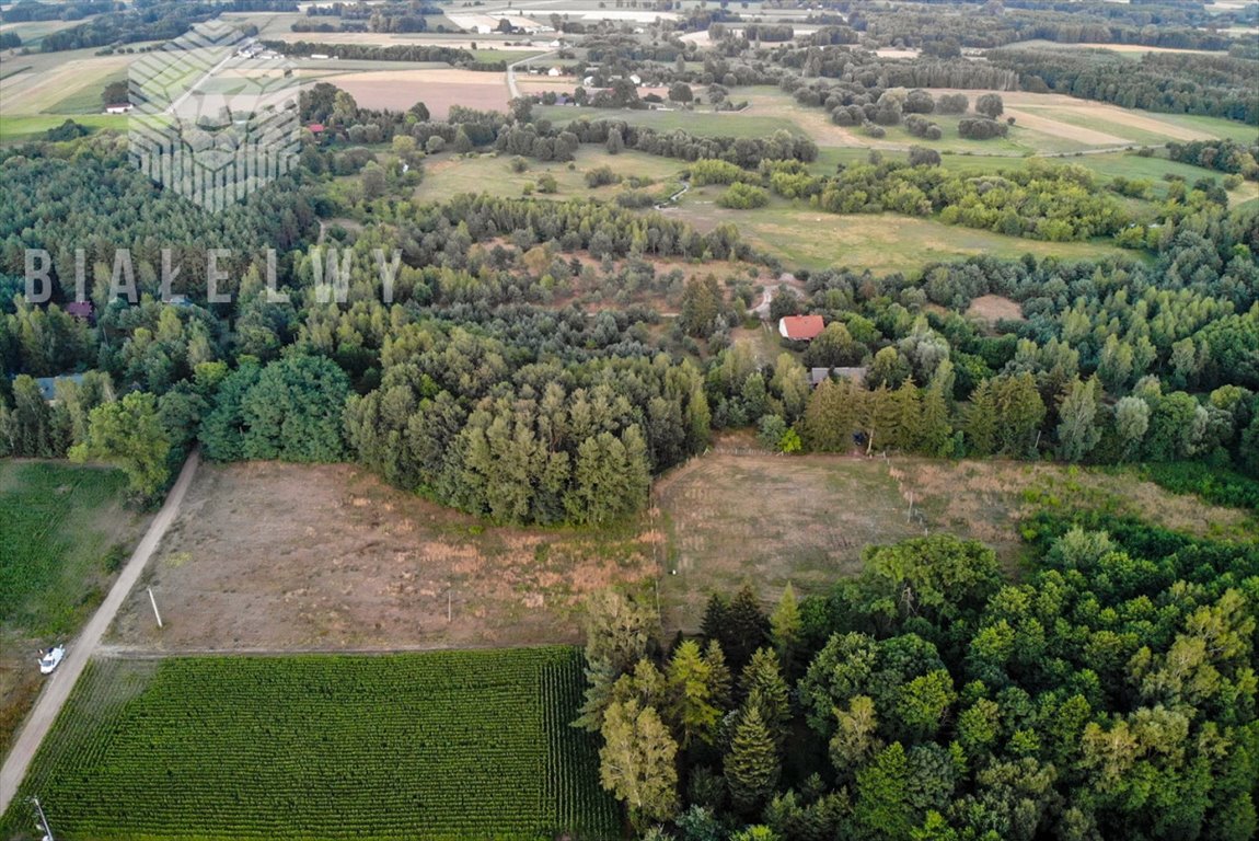 Działka rekreacyjna na sprzedaż Baraki  1 200m2 Foto 12