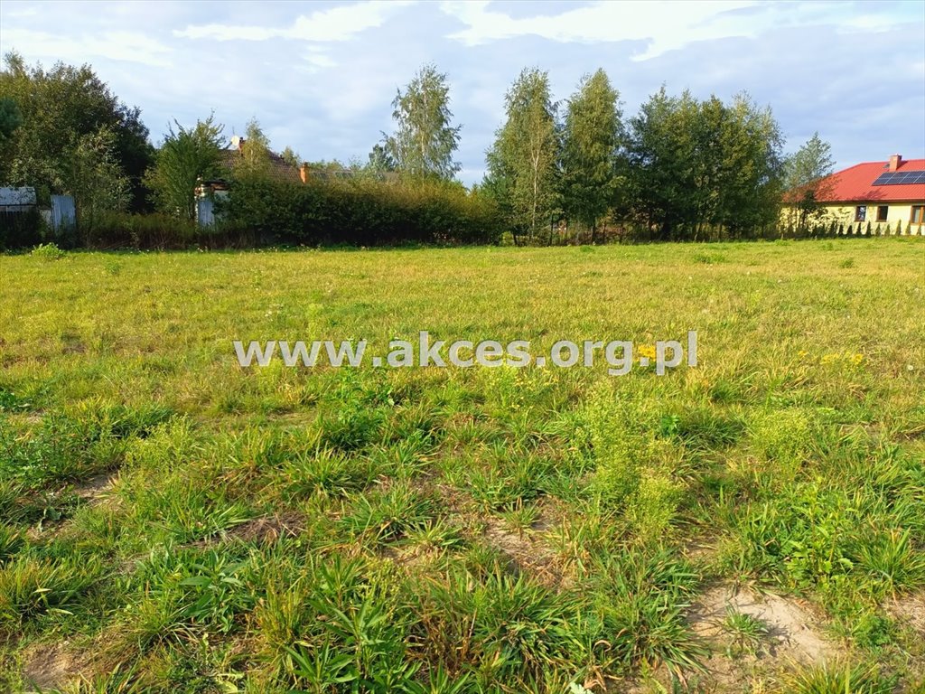 Działka budowlana na sprzedaż Robercin  8 410m2 Foto 1