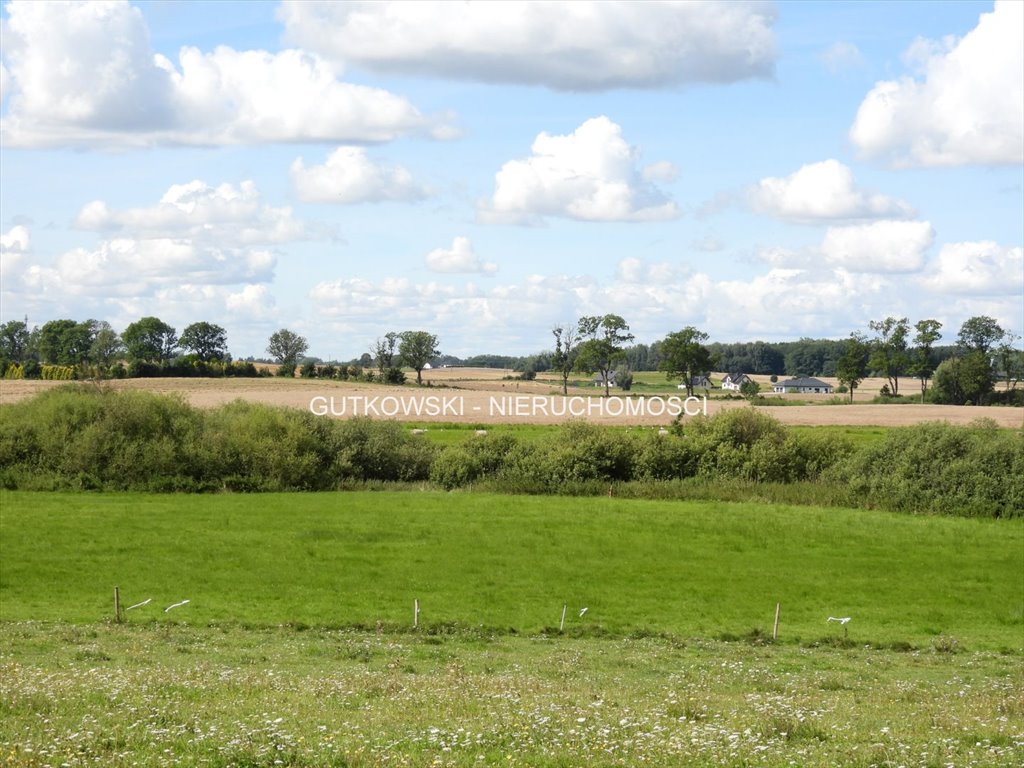 Działka rolna z możliwością zabudowy nad Jeziorakiem - zapraszam Tynwałd  15 700m2 Foto 1