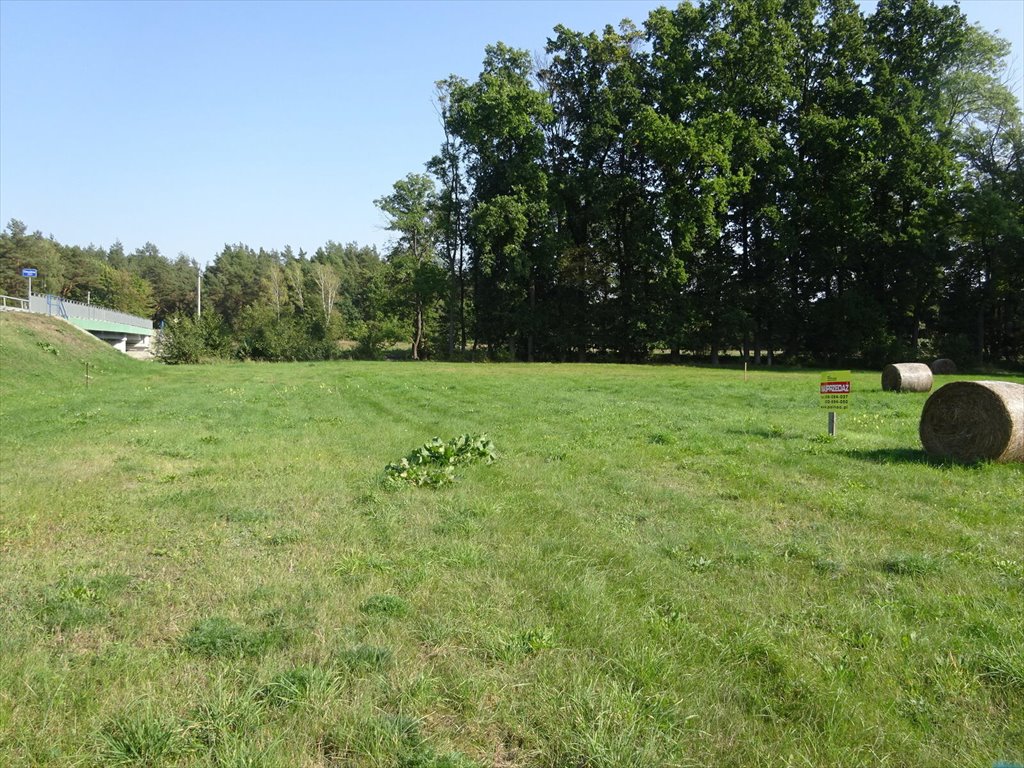 Działka budowlana na sprzedaż Drężewo  1 400m2 Foto 6