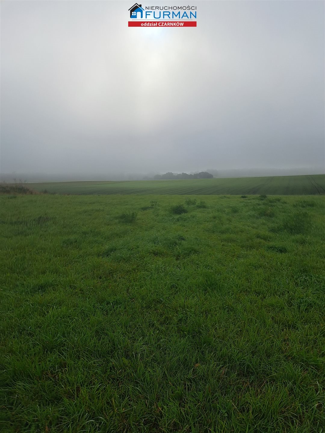 Działka budowlana na sprzedaż Dębe  990m2 Foto 6