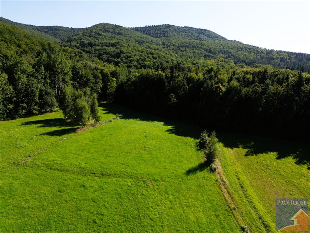 Sprzedam działkę 2300 m² z widokami i dojazdem gminnym Bełdno  2 300m2 Foto 1