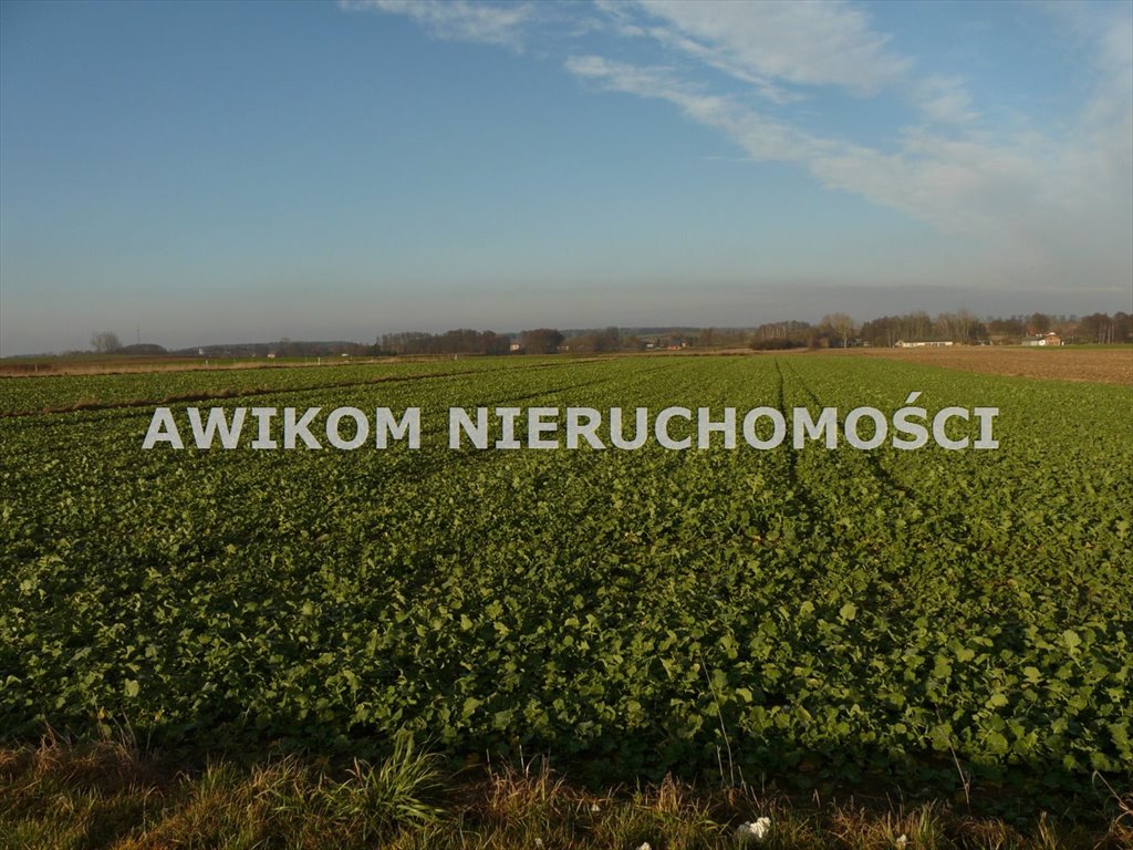 Działka rolna na sprzedaż Nowy Kawęczyn, Nowy Dwór-Parcela  10 900m2 Foto 2
