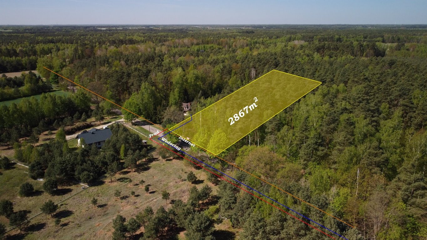 Działka leśna na sprzedaż Grabie  2 869m2 Foto 1