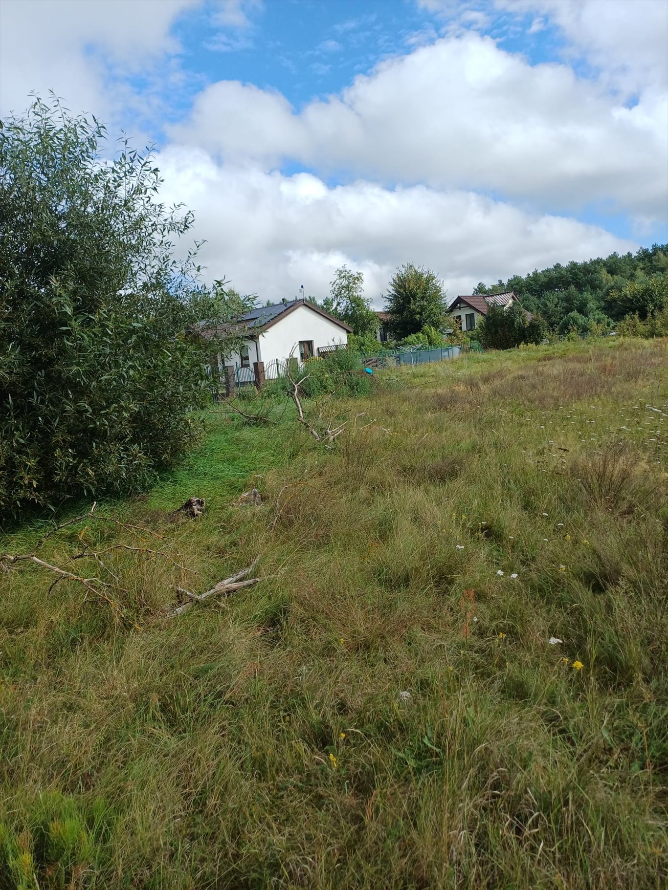 Zapraszam do obejrzenia działki 1000 m² z warunkami zabudowy Obory  1 000m2 Foto 1