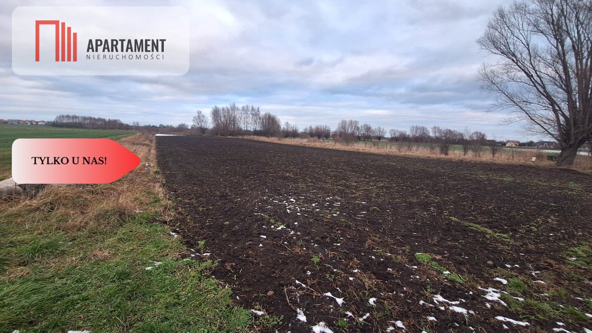 Działka budowlana na sprzedaż Kolnik  4 700m2 Foto 6