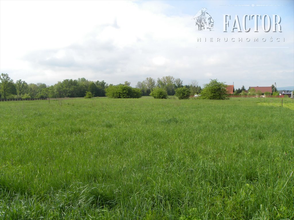 Działka budowlana na sprzedaż Klęczany  1 000m2 Foto 1