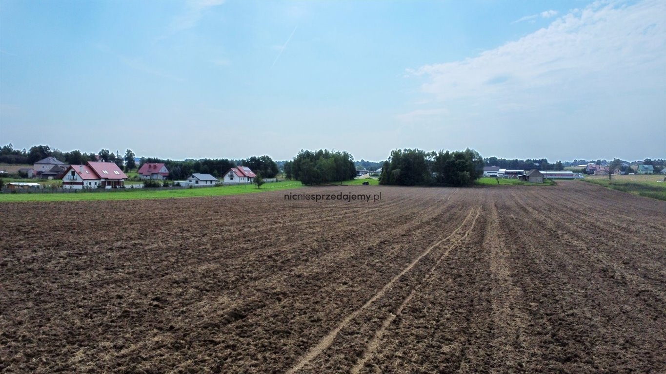 Działka budowlana na sprzedaż Dębno, Sufczyn  1 000m2 Foto 5