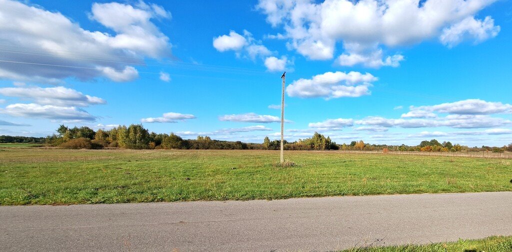 Działka inna na sprzedaż Brzeźnica Książęca  3 000m2 Foto 7