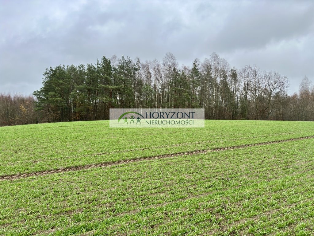 Działka budowlana na sprzedaż Miszewo  21 957m2 Foto 4