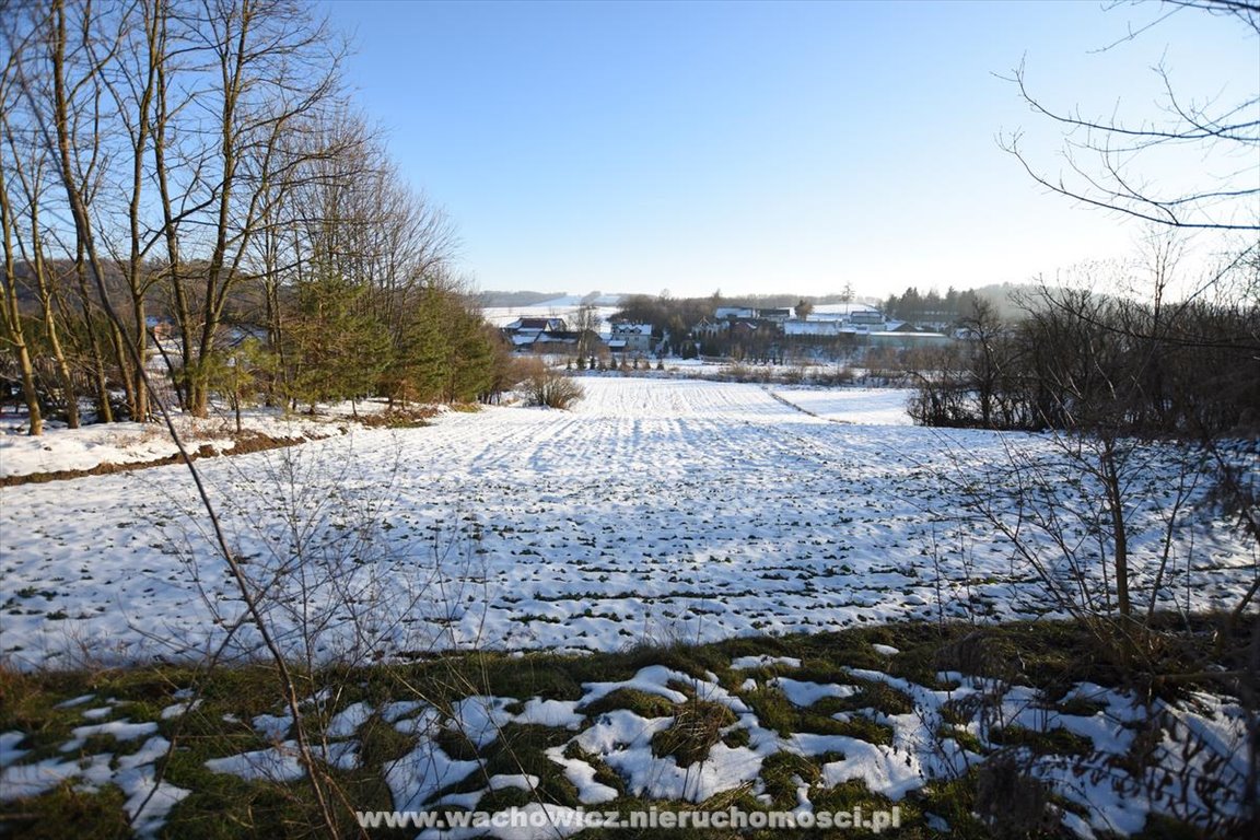 Działka budowlana na sprzedaż Kalina Wielka  4 700m2 Foto 4