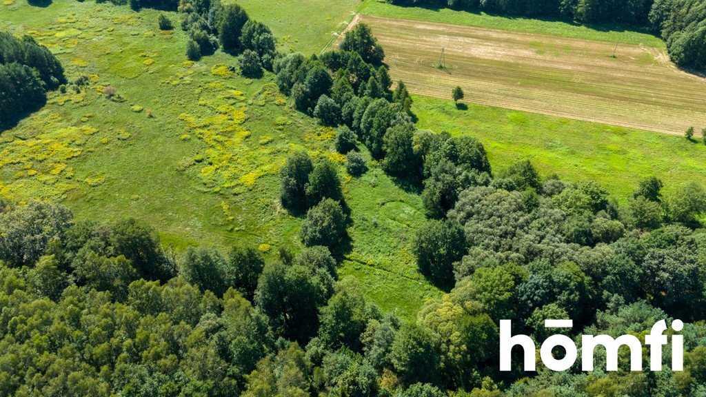 Działka inna na sprzedaż Kuźniczysko  5 059m2 Foto 5