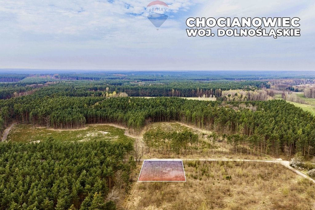 Działka 1200 m² w otoczeniu lasu, idealna pod dom Chocianowiec  1 200m2 Foto 1