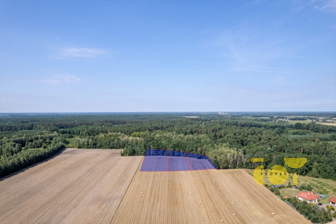 Działka rolna na sprzedaż Przepitki  9 000m2 Foto 6