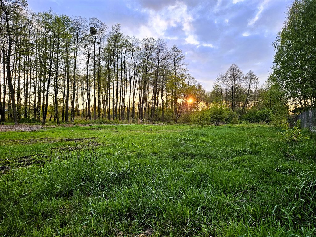 Działka leśna z prawem budowy na sprzedaż Zielona Góra, Wiesława  4 200m2 Foto 5