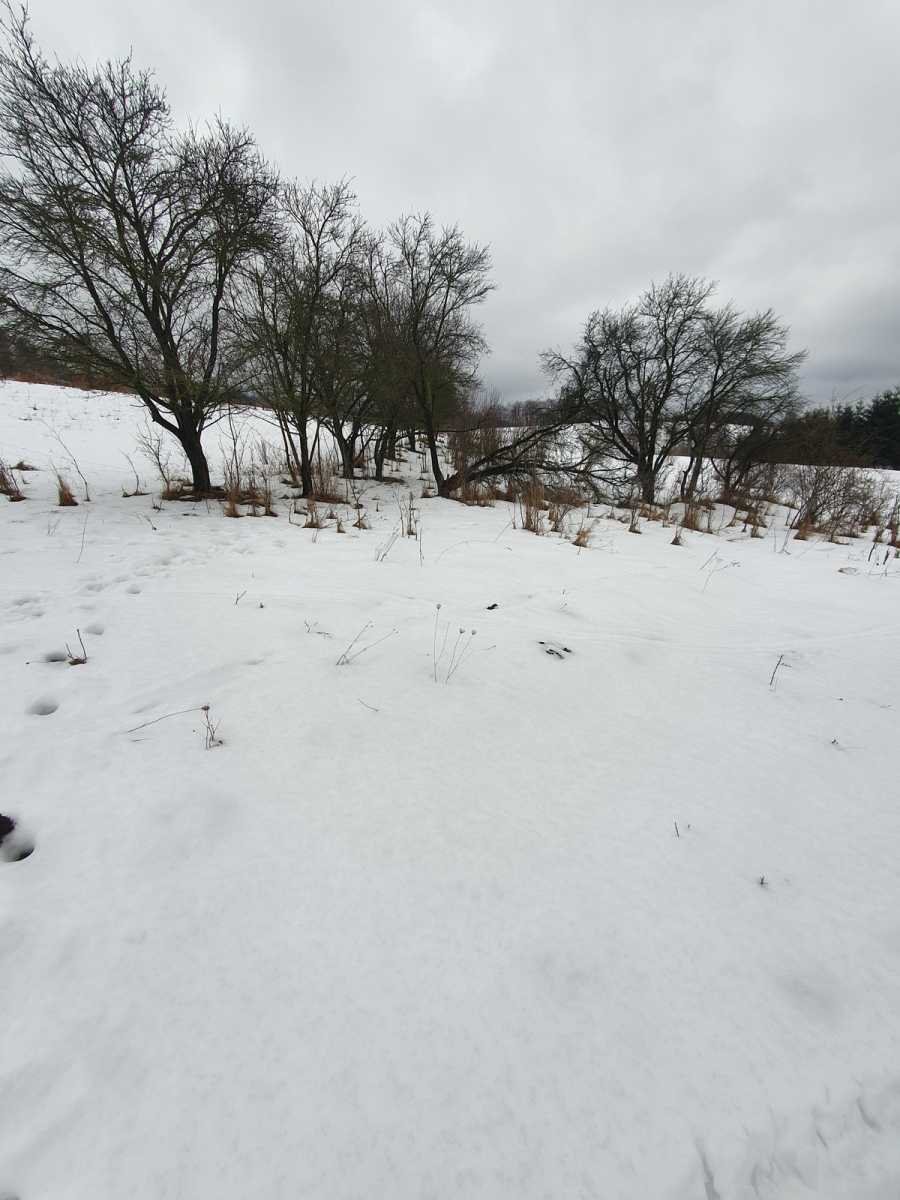 Działka inna na sprzedaż Nowa Ruda  400m2 Foto 2