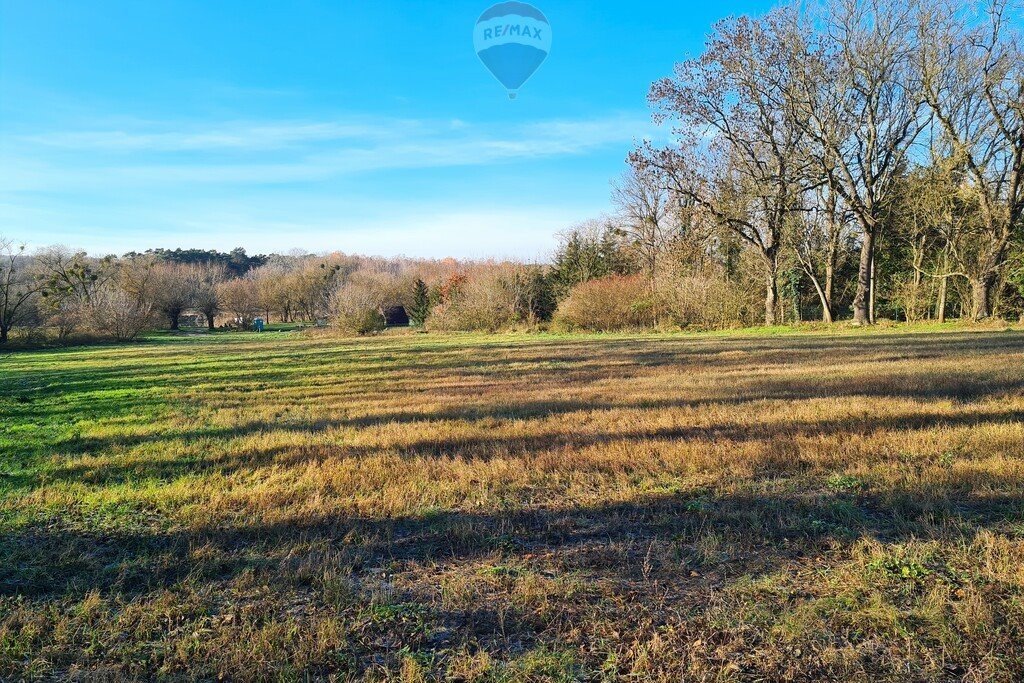 Działka budowlana na sprzedaż Bolechowo-Osiedle, Cypriana Kamila Norwida  6 400m2 Foto 9