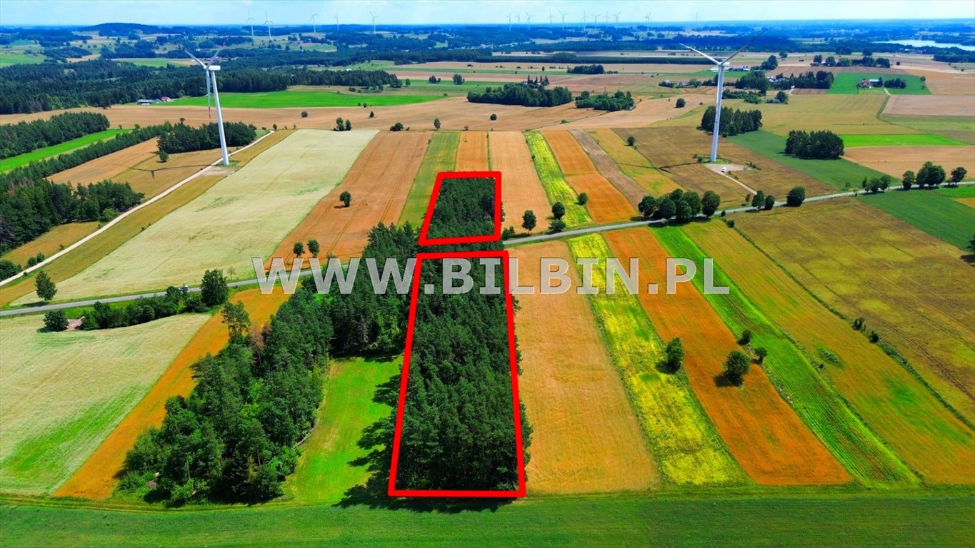 Sprzedam działkę leśną 9 101 m² w Morgach z drzewami i dojazdem asfaltowym Morgi  9 101m2 Foto 1