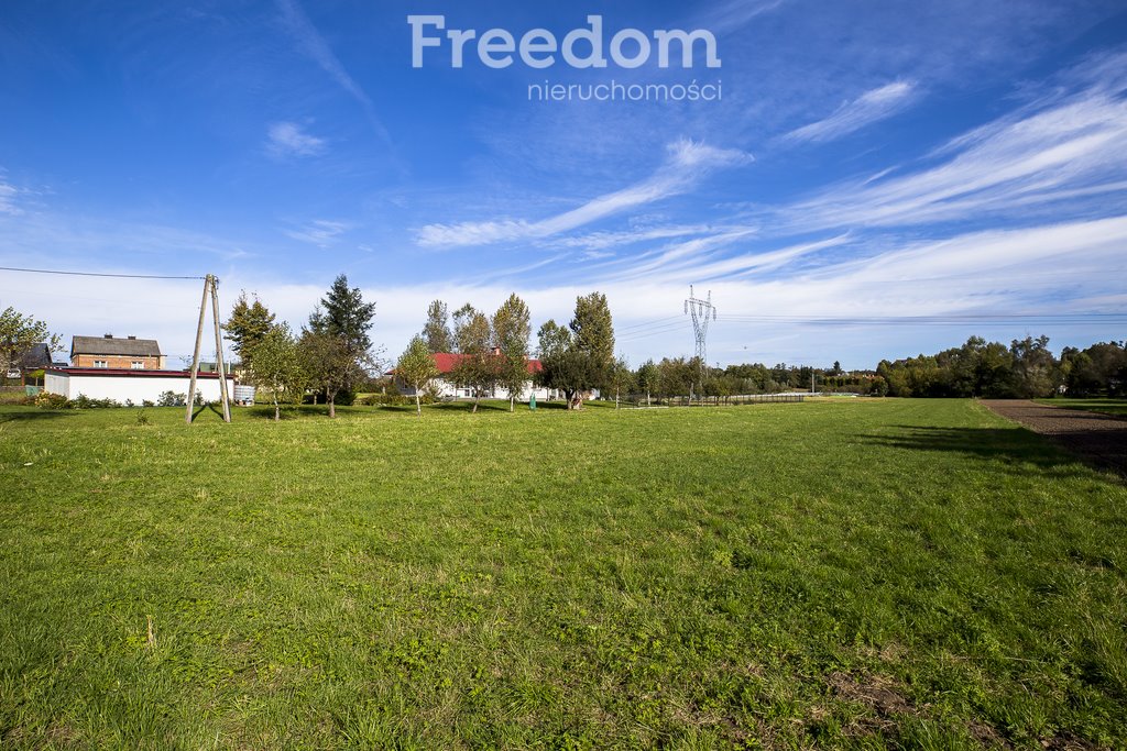 Działka inwestycyjna na sprzedaż Niechobrz  6 000m2 Foto 10