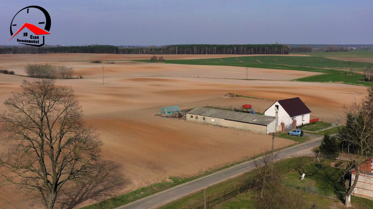 Działka budowlana na sprzedaż Dzierzążno  1 404m2 Foto 8