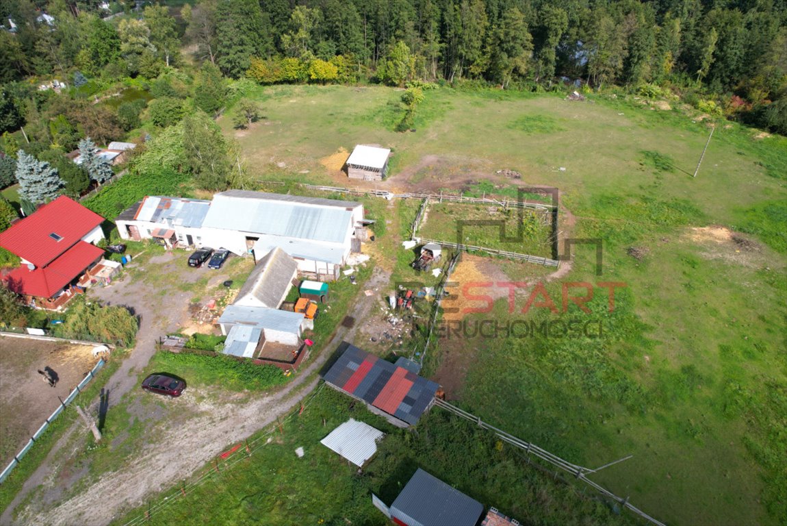 Działka budowlana na sprzedaż Marynin  10 000m2 Foto 3