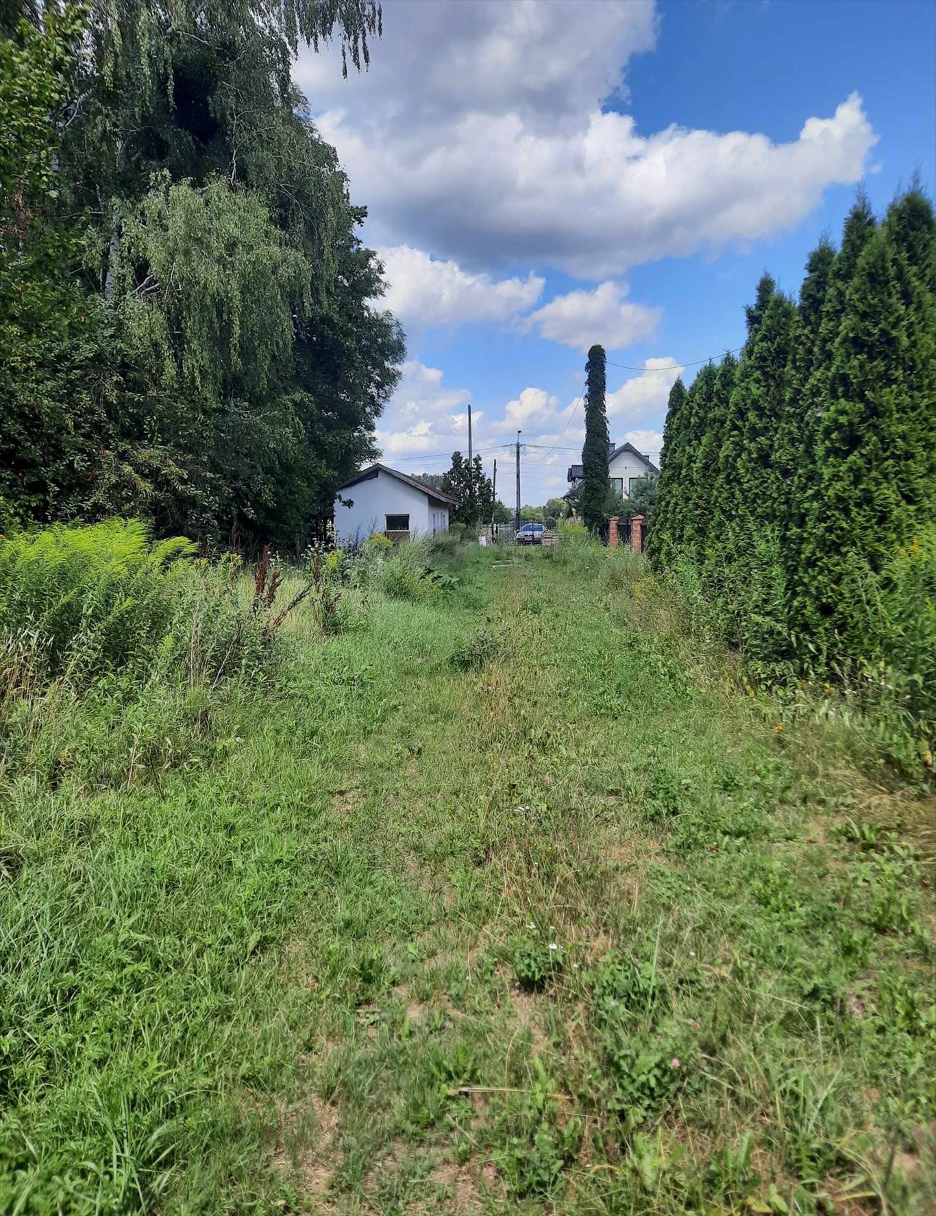 Działka budowlana na sprzedaż Wierzbin, Królowej Marysieńki  2 160m2 Foto 6