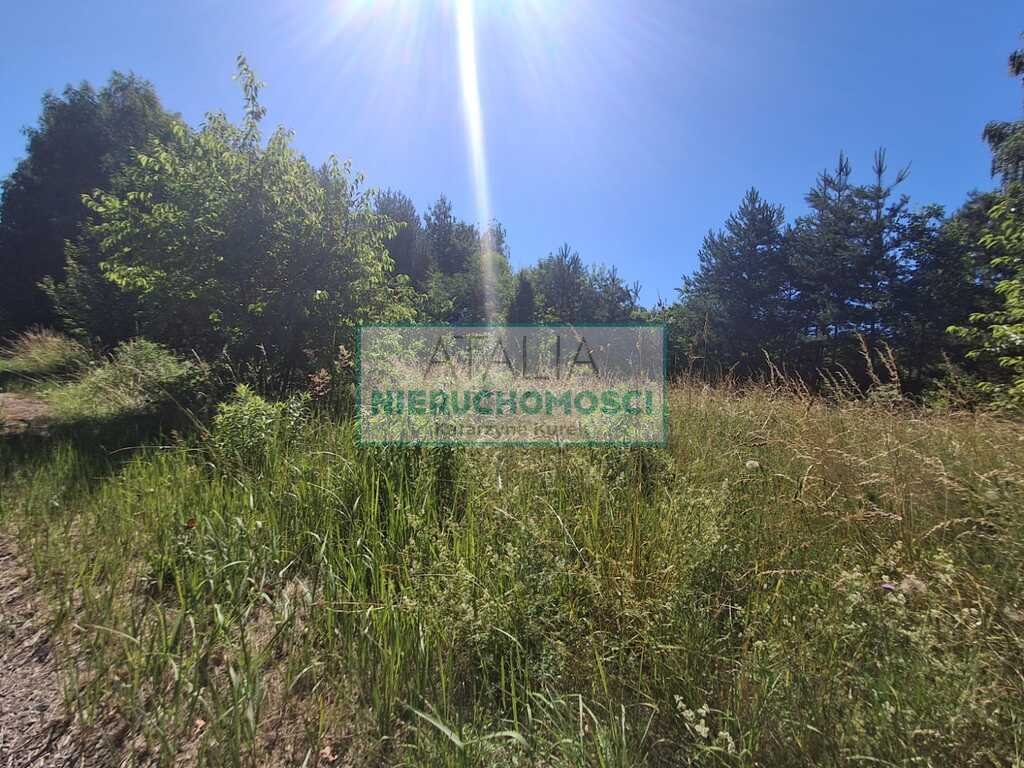 Sprzedam działkę 4845 m² z mediami i możliwością podziału Budy-Grzybek  4 845m2 Foto 1