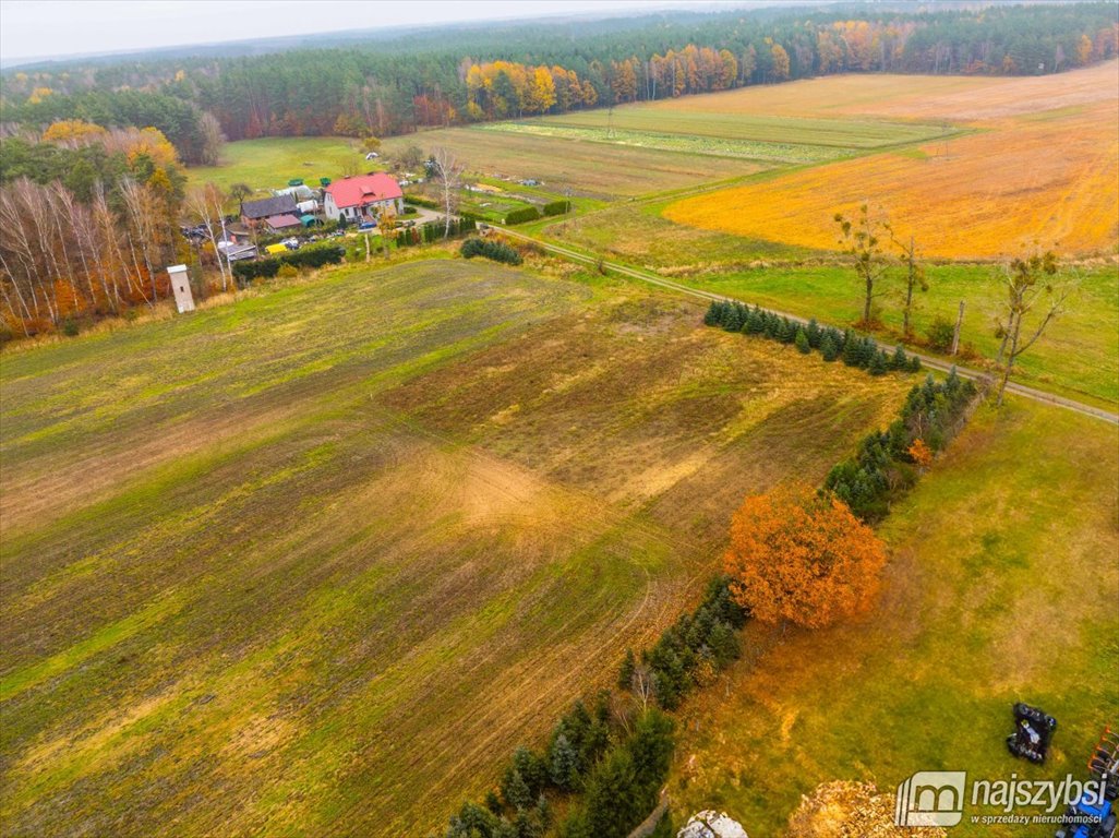 Działka budowlana na sprzedaż Węgorza, Wieś  1 557m2 Foto 9