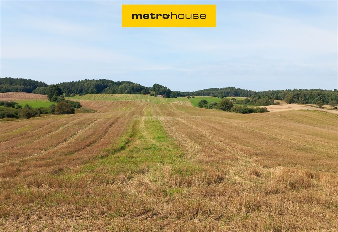 Na sprzedaż działka 52 156 m² w Brzeźnie Szlacheckim Brzeźno Szlacheckie  52 156m2 Foto 1