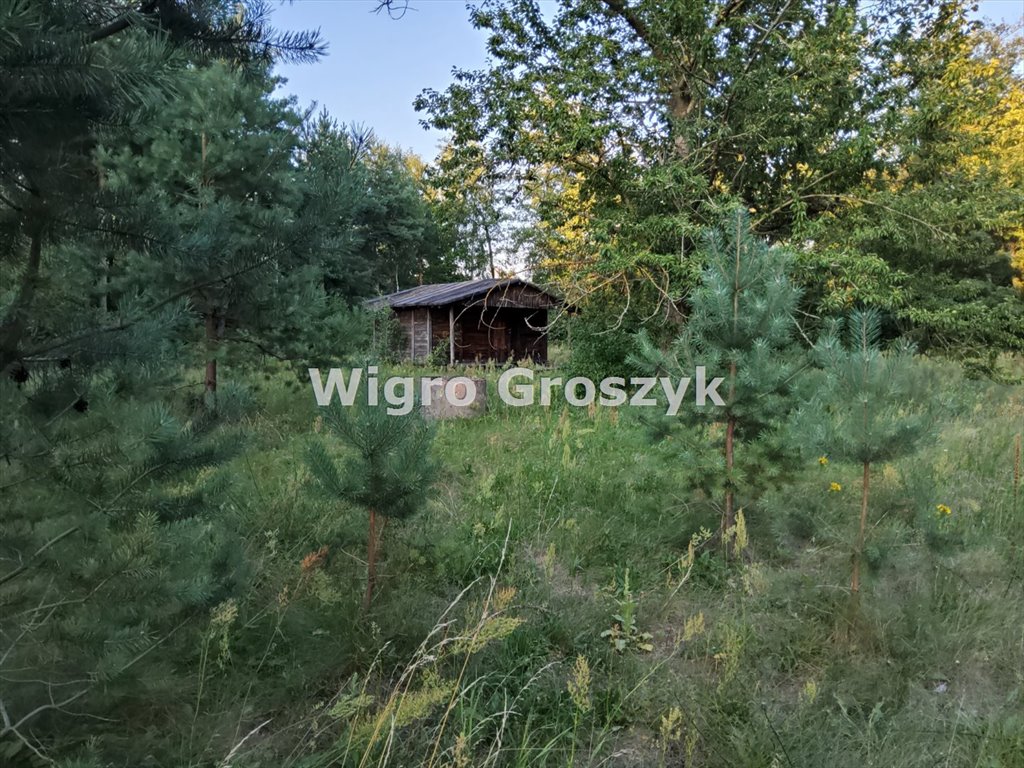 Działka budowlana na sprzedaż Pogorzelec  4 300m2 Foto 4