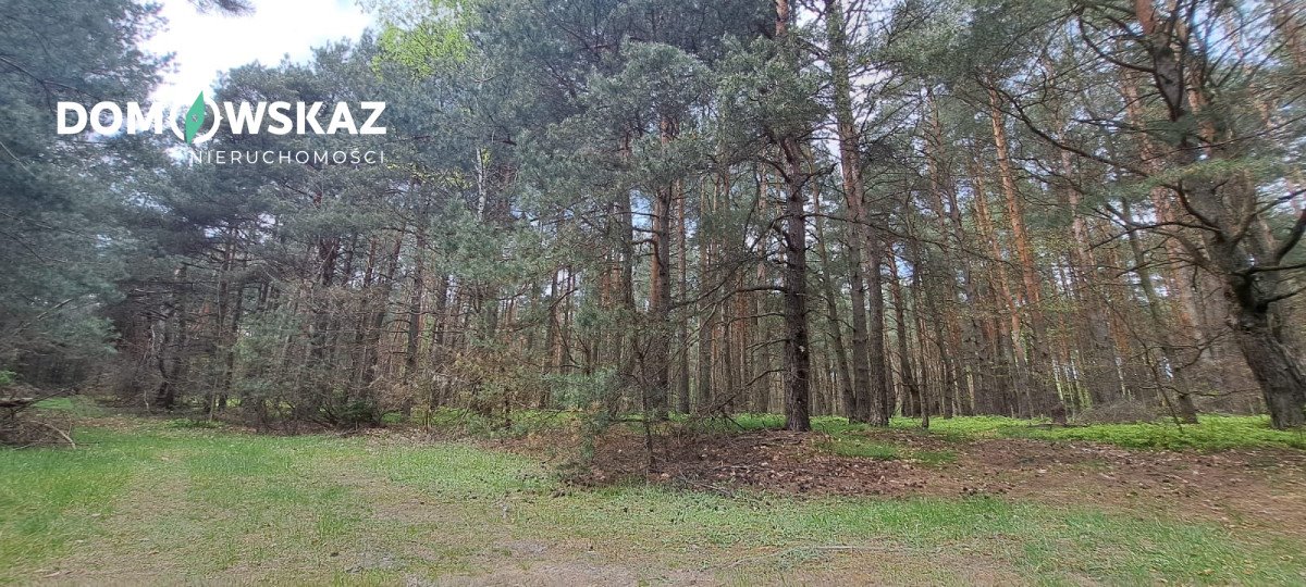 Działka leśna na sprzedaż Ogorzelnik  16 492m2 Foto 5