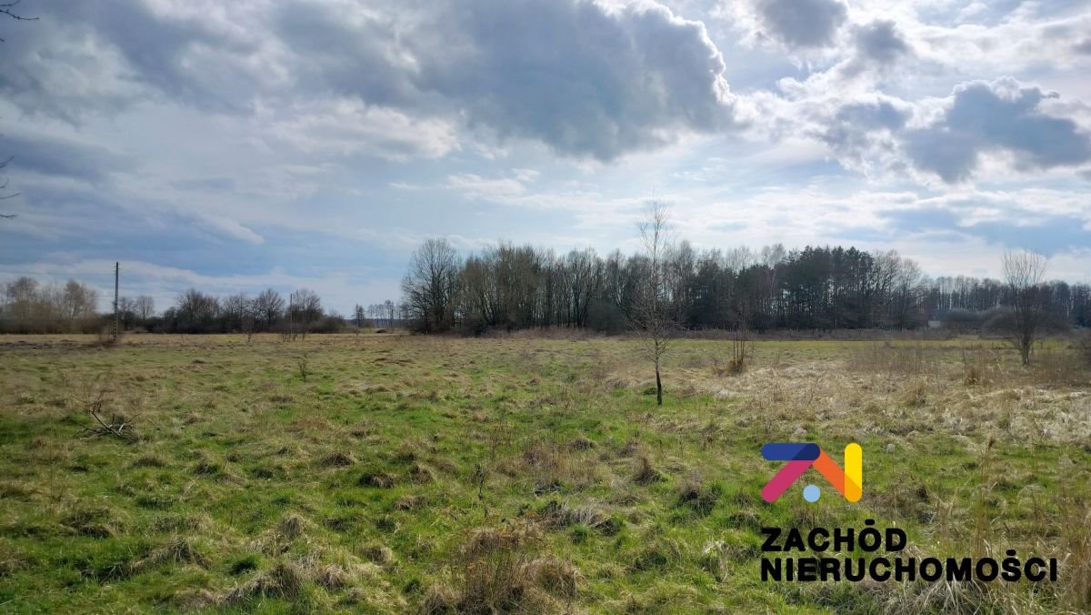 Działka budowlana na sprzedaż Bytomiec  6 163m2 Foto 1