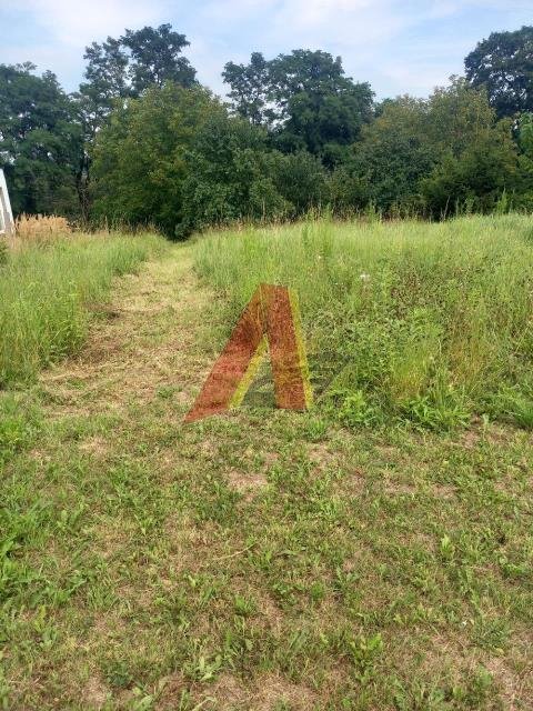 Działka budowlana na sprzedaż Ujazd, Jurajska  1 000m2 Foto 6