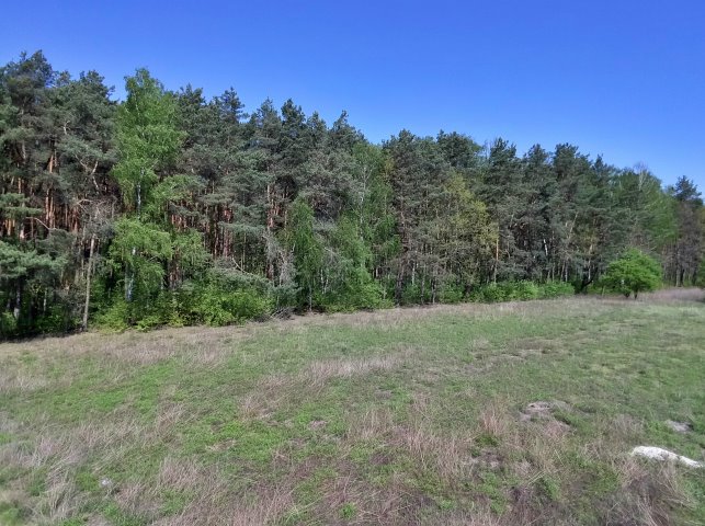 Działka budowlana na sprzedaż Lezno  3 726m2 Foto 1