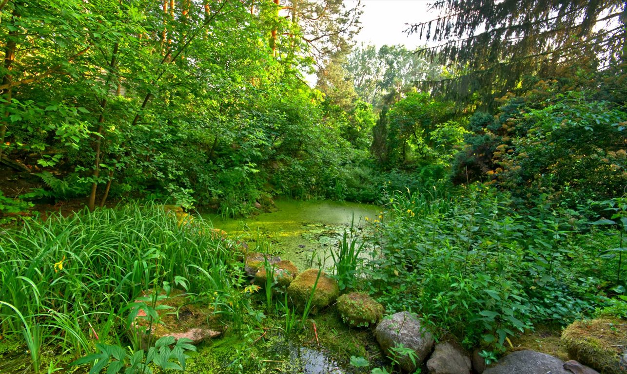 Dom na sprzedaż Józefów, Józefów  400m2 Foto 11