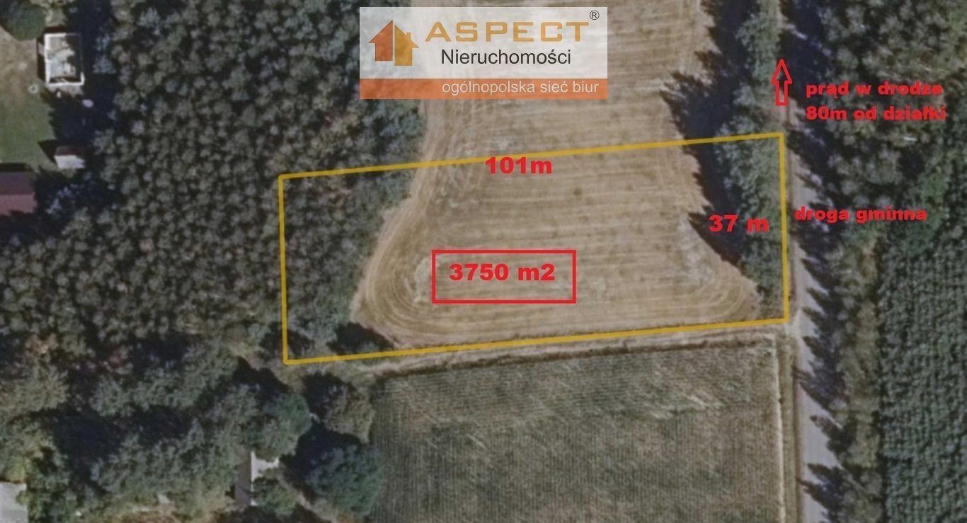 Urokliwa działka 3750 m² z lasem i pięknym widokiem GRÓDEK, WIEJKI, WIEJKI  3 750m2 Foto 1