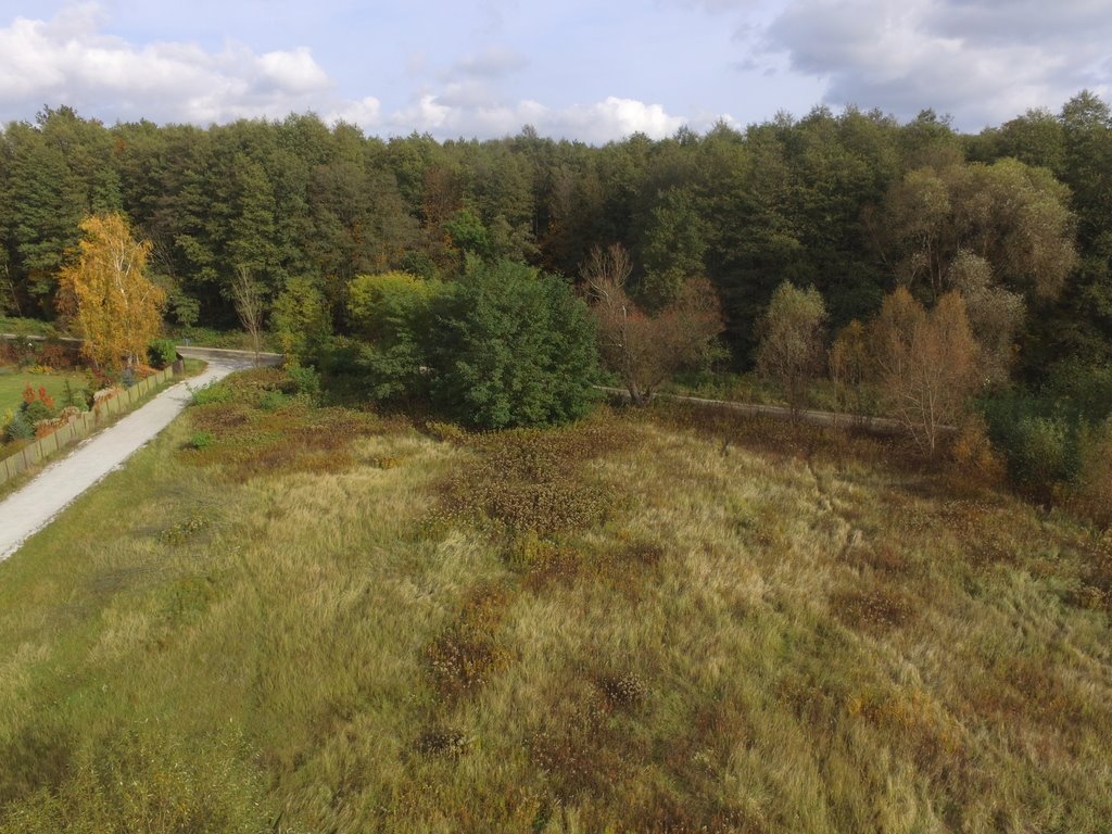 Działka budowlana na sprzedaż Domaszczyn, Stawowa  1 749m2 Foto 1