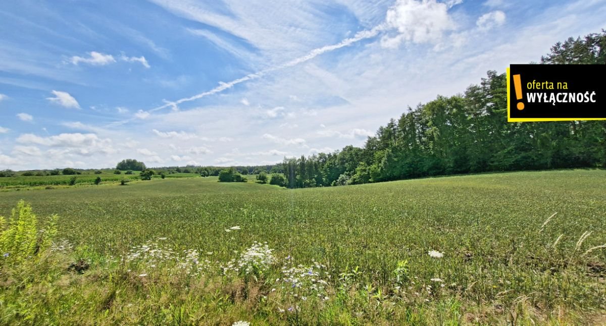 Działka rolna na sprzedaż Łęcze  66 300m2 Foto 7