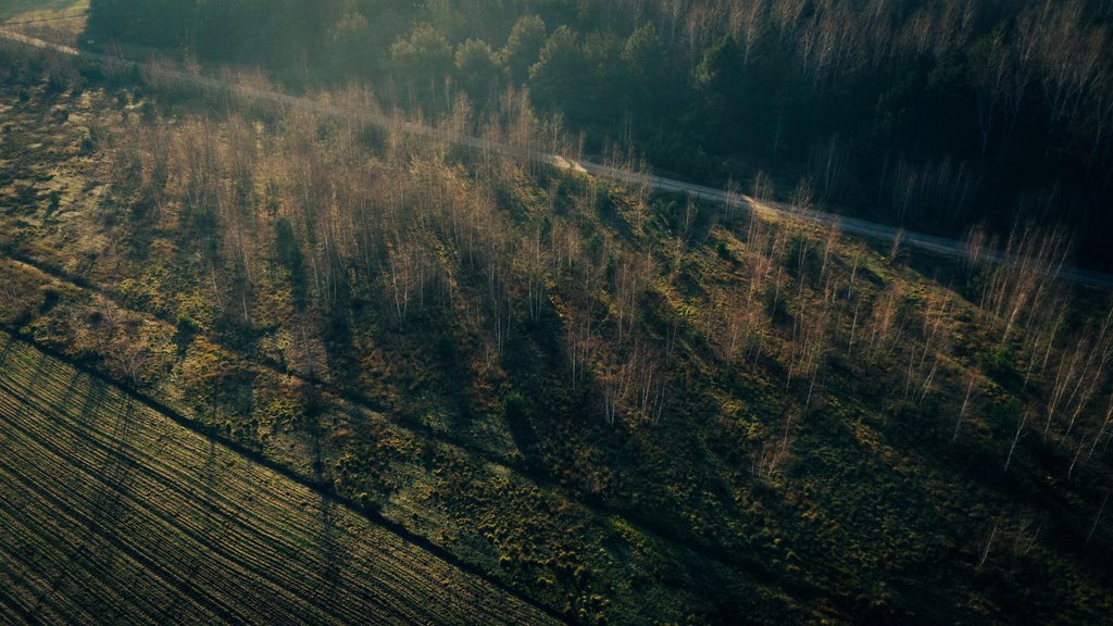 Działka budowlana na sprzedaż Konarzew  1 490m2 Foto 5