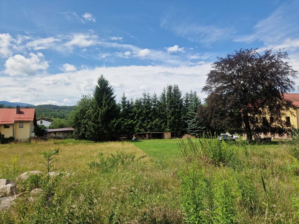 Działka przemysłowo-handlowa na sprzedaż Sosnówka  1 996m2 Foto 5