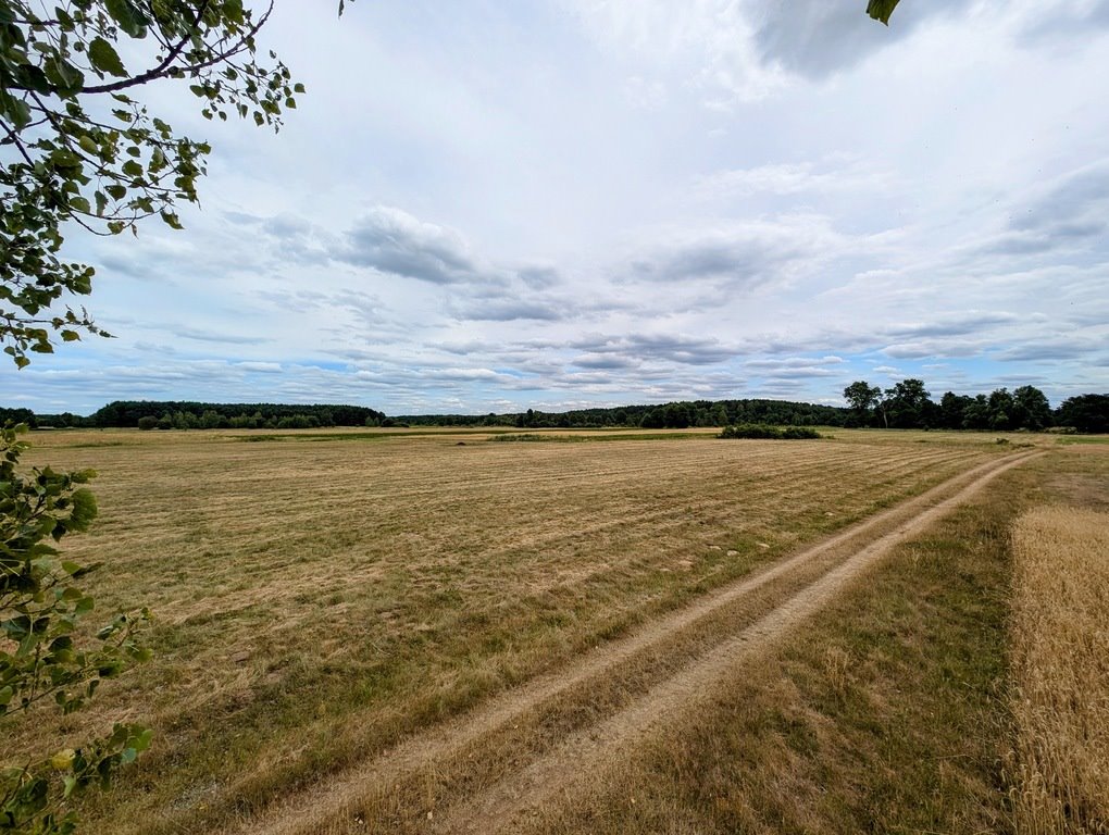 Działka rolna na sprzedaż Roszkowa Wola  15 400m2 Foto 1