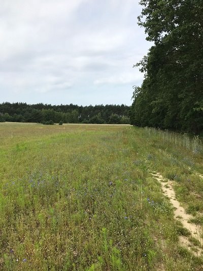 Działka budowlana na sprzedaż Koźminek, Nowy Nakwasin  1 392m2 Foto 2