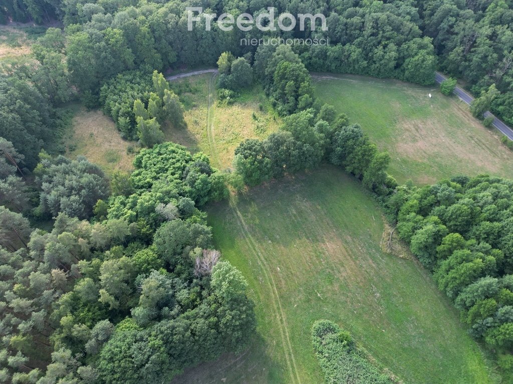 Działka inna na sprzedaż Dolsk  15 000m2 Foto 4